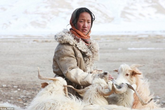 No-money, no-technology, and nomadic life of a tribe in the Himalayas 4 No-money, no-technology, and nomadic life of a tribe in the Himalayas tibet