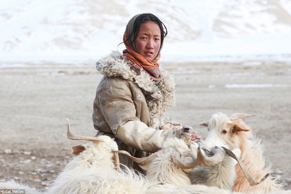 No-money, no-technology, and nomadic life of a tribe in the Himalayas