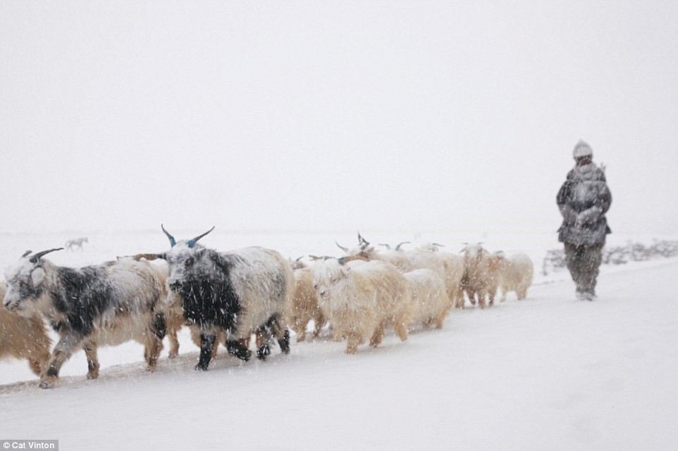 No-money, no-technology, and nomadic life of a tribe in the Himalayas