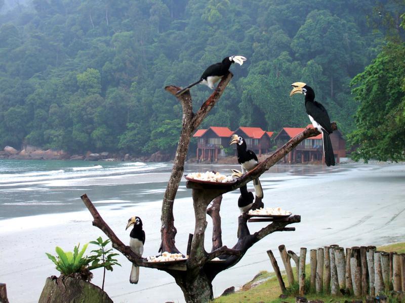 Pangkor island trip guide malaysia (1)