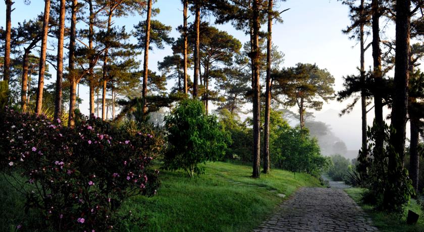 ana-mandara-villa-dalat-resort-spa vietnam review 4