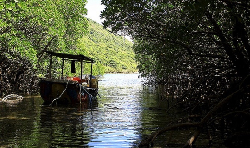 bay canh island con dao travel destinations 23