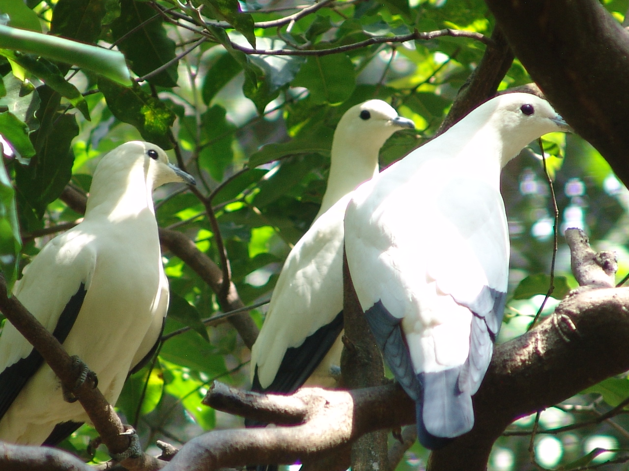 con dao national park con dao travel destinations 24