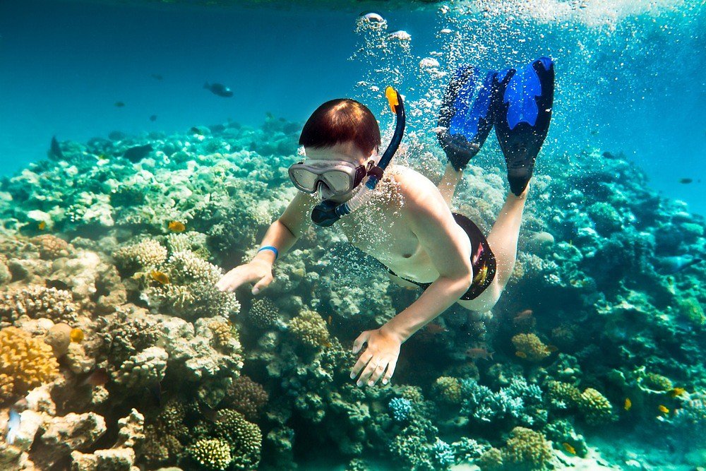 con dao tracel destinations 20