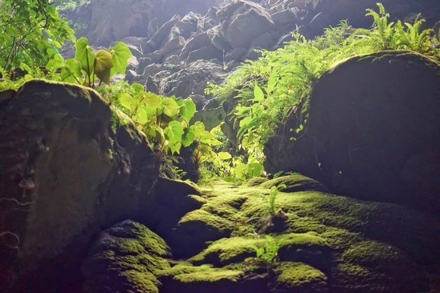 en cave phong nha ke bang national park adventure trip (1)