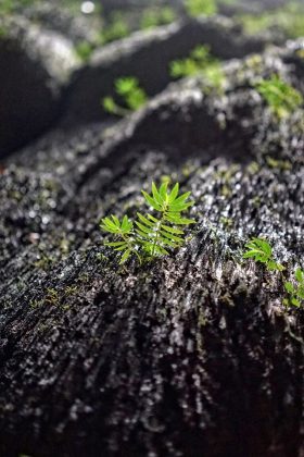 hang son doong cave phong nha ke bang national park vietnam adventure trip (12)