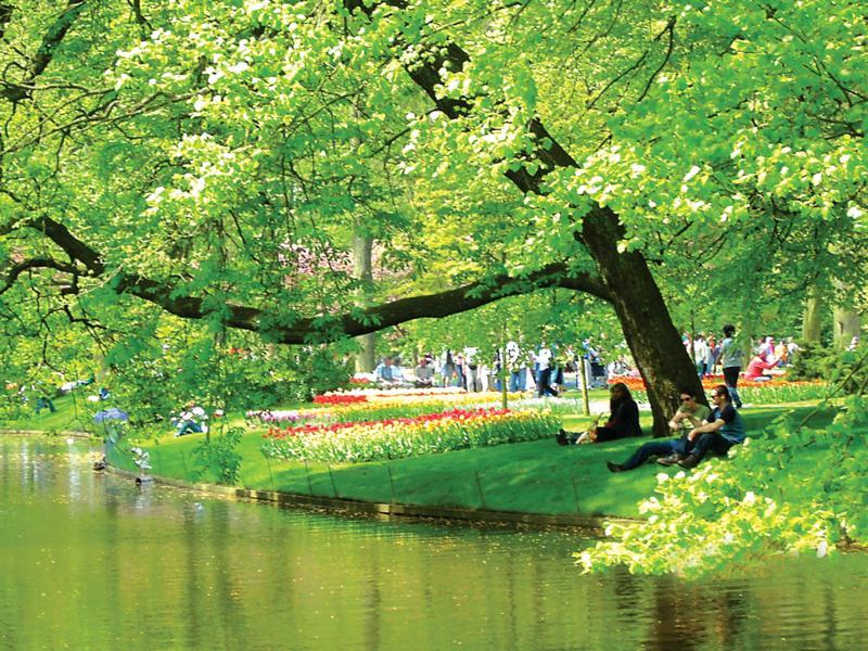 keukenhof flowers garden netherlands spring (1)