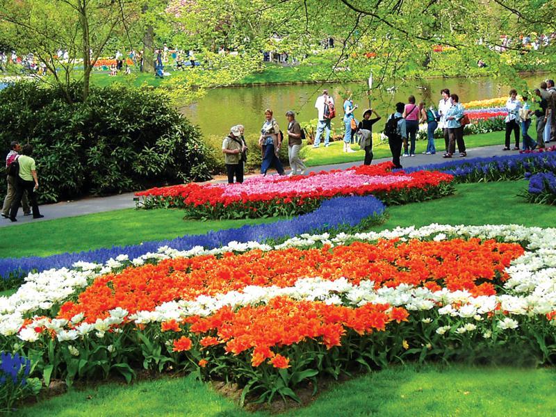 keukenhof flowers garden netherlands spring (1)