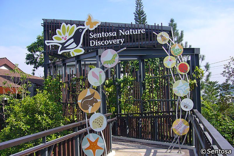 sentosa nature discovery singapore travel tips