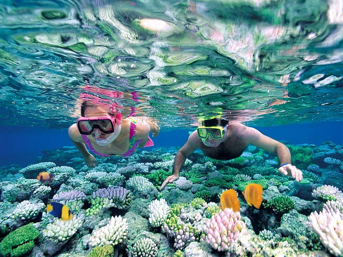 snokering in con dao island travel destinations 6