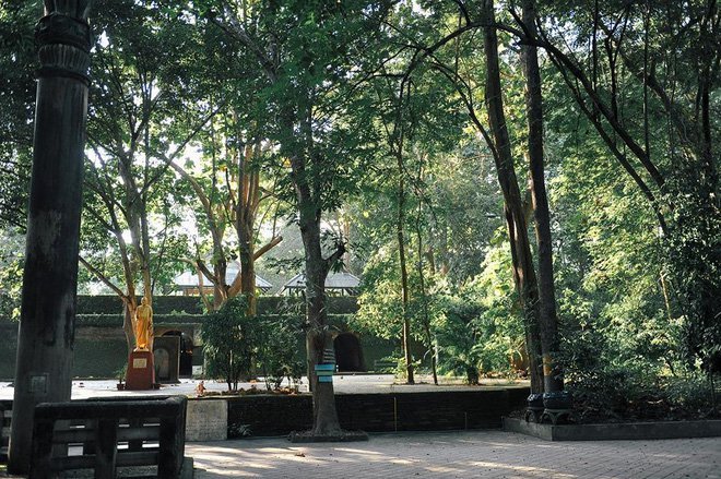 umong wat chiang mai places to go 2
