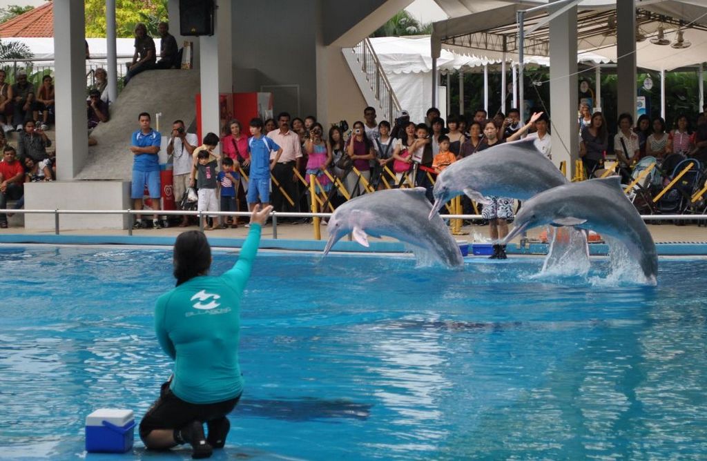 underwater world and dolphin lagoon sentosa singapore 2
