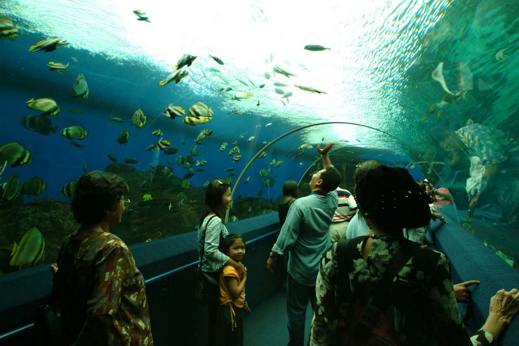 underwater world and dolphin lagoon sentosa singapore