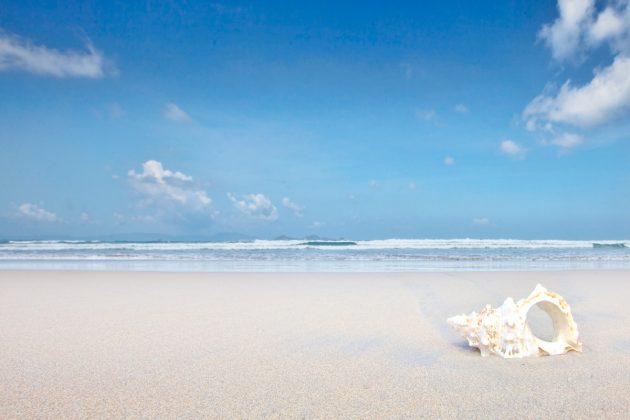 Things to do in Jungle Beach nha trang Vietnam