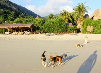 Things to do in Jungle Beach nha trang Vietnam