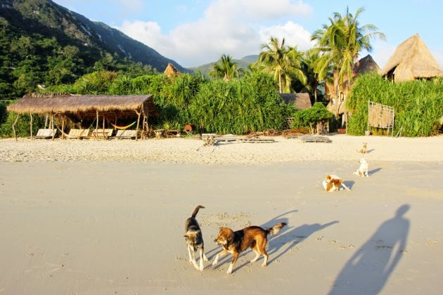 Things to do in Jungle Beach nha trang Vietnam