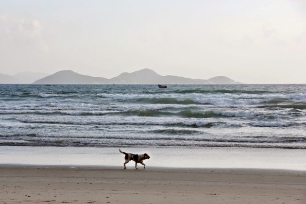 Things to do in Jungle Beach nha trang Vietnam