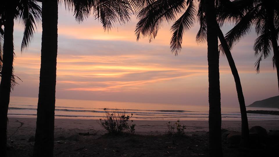 Things to do in Jungle Beach nha trang Vietnam