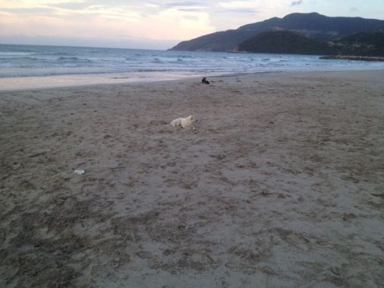 Things to do in Jungle Beach nha trang Vietnam