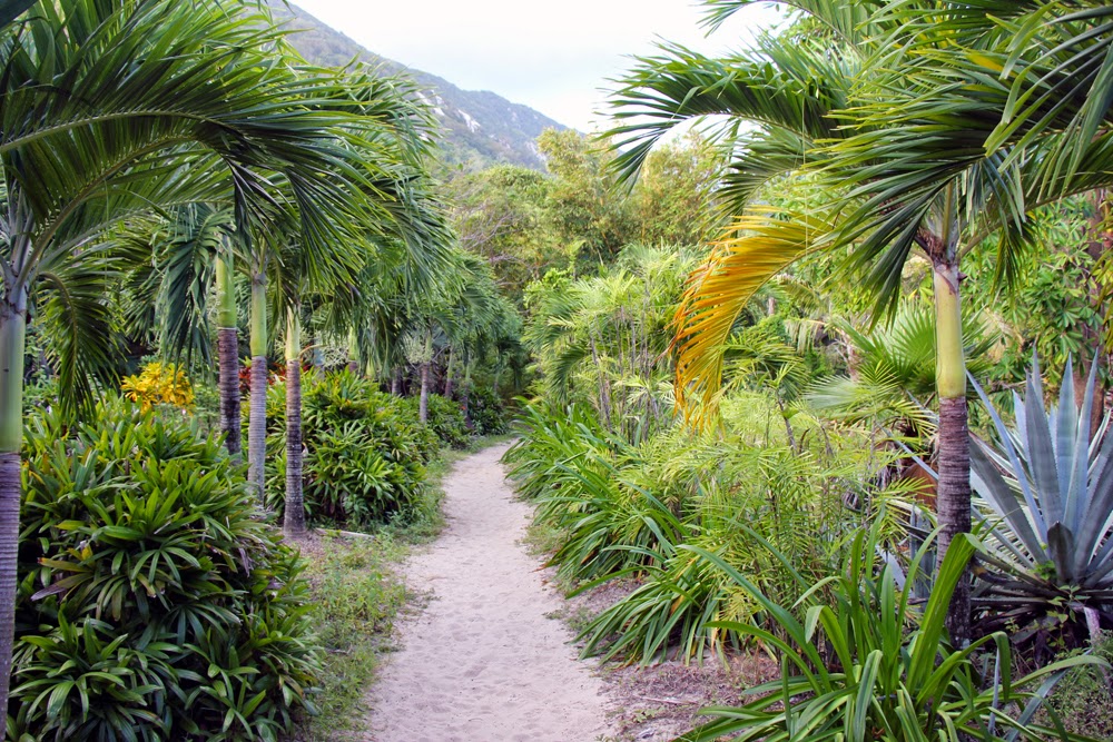 Things to do in Jungle Beach nha trang Vietnam