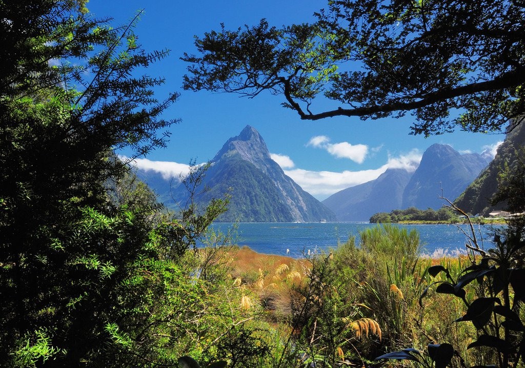 Milford Sound new zealand