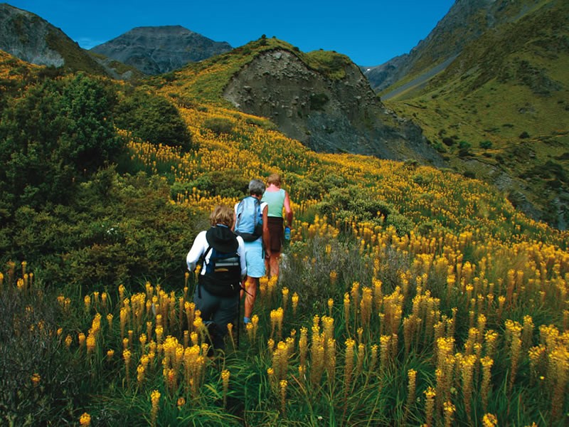 Kaikoura new zealand