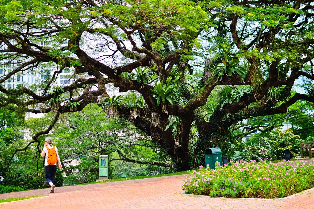 Fort Canning Park Singapore 17