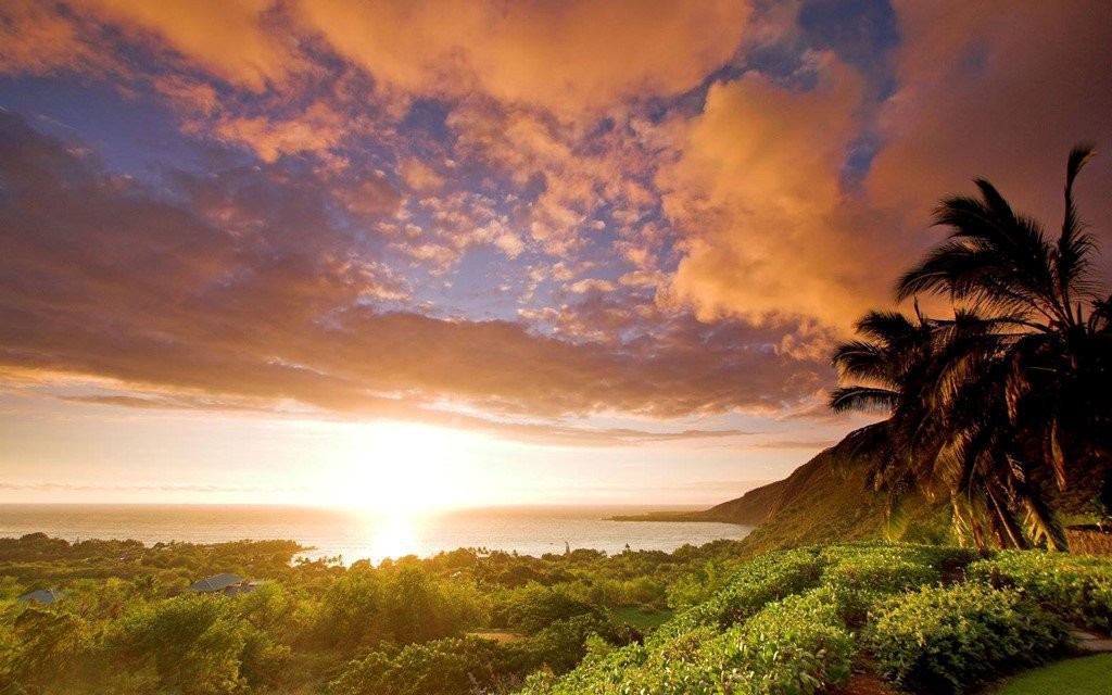 Hawaii America President Obama