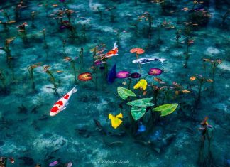 Hidenobu Suzuki photography japan rainy season series photos 1