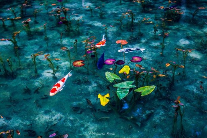Hidenobu Suzuki photography japan rainy season series photos 1