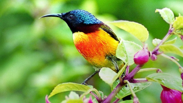 chiang mai thailand travel destinations national parks