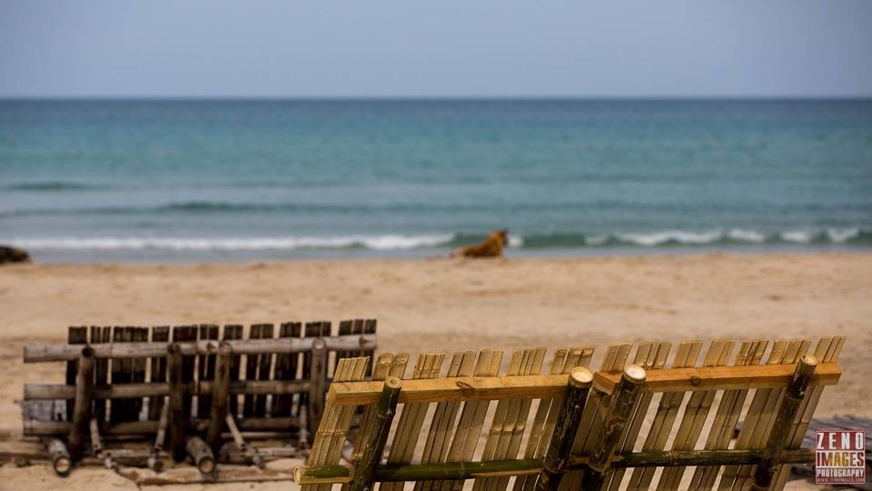 jungle-beach-ninh-phuoc-beach attractions 5