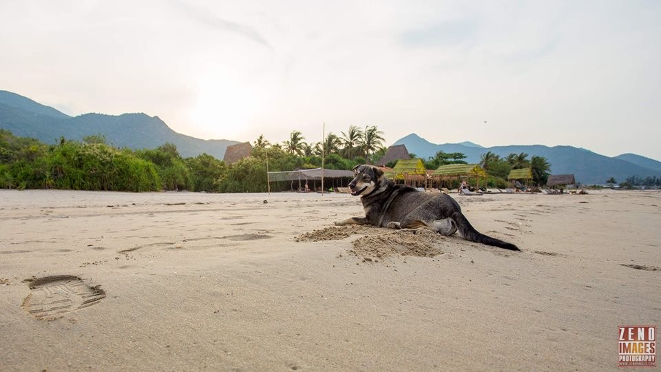 jungle-beach-ninh-phuoc peace