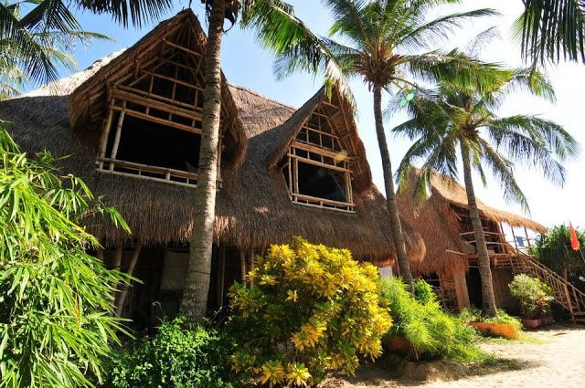 jungle-beach-ninh-phuoc-vietnam travel guides 3