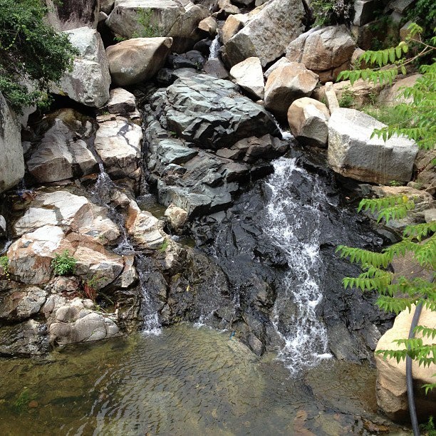 jungle-beach-ninh-phuoc-waterfall on the way