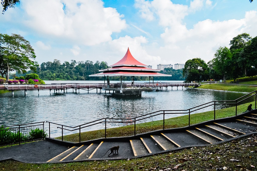 macRitchie Reservoir park singapore 13