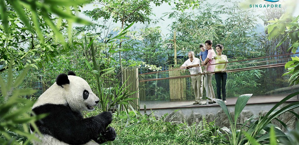 river safari singapore 7