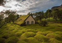 10+ magical green roof scandinavian houses look like straight out of a fairytale scandinavian houses with grass roofs photos photography pictures 1