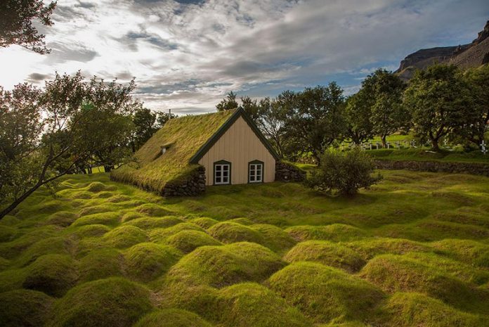 scandinavian houses with grass roofs photos photography pictures 10 scandinavian houses with grass roofs photos photography pictures 1