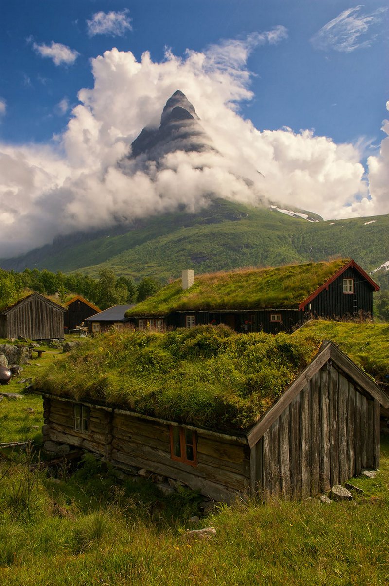 scandinavian houses with grass roofs photos photography pictures 1