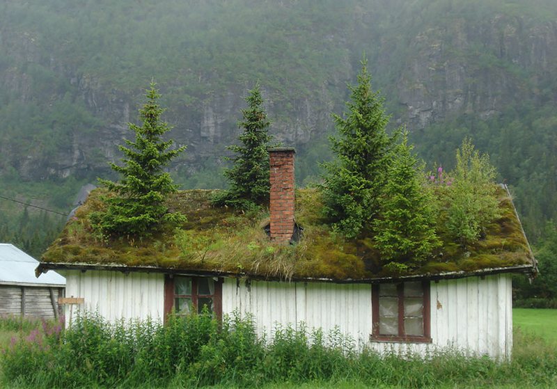 scandinavian houses with grass roofs photos photography pictures 1