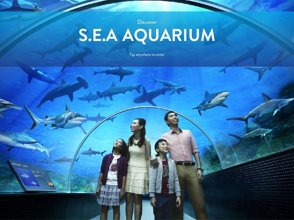 sea-aquarium-singapore 15