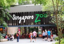 5 best zoo in Singapore for family travel