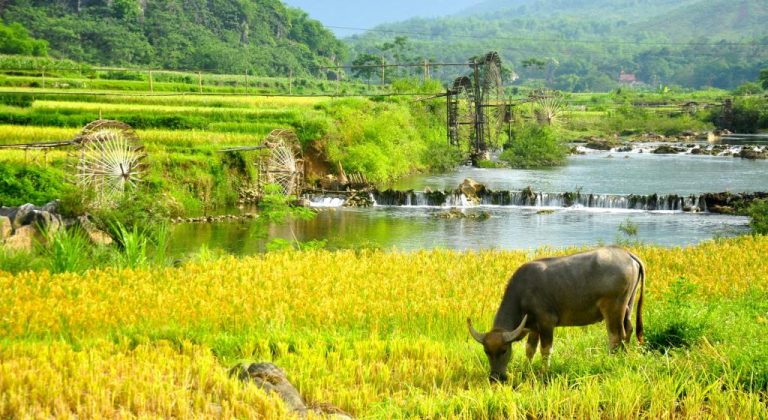 pu luong retreat agoda booking price homestay review thanh hoa vietnam (1)