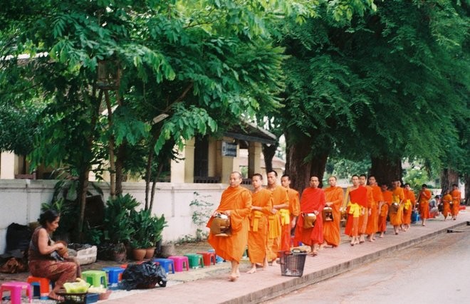 Alms Giving Ceremony, things to to, Luang Prabang, Lao Alms Giving Ceremony, things to to, Luang Prabang, Lao