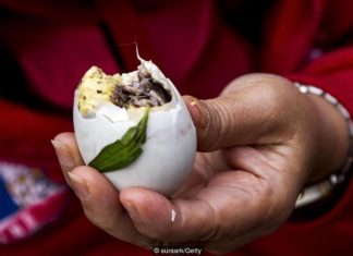Balut southeast asia