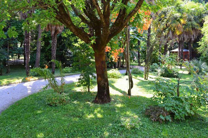 Botanical-gardens-padova-3 italy attractions