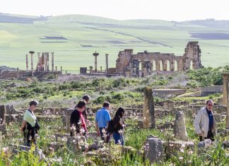 Capitoline Temple and the Basilica in the background morrocco