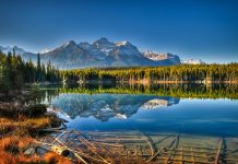 18+ beautiful pictures of Canada make you want to visit right now canada photo photography travel Edited-Icefields-Parkway-DWDRYF canada photo photography travel