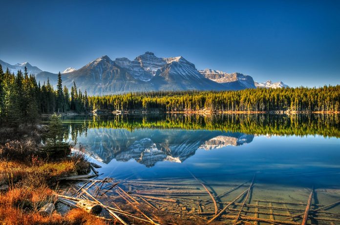 Edited-Icefields-Parkway-DWDRYF canada photo photography travel Edited-Icefields-Parkway-DWDRYF canada photo photography travel